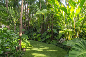 best horticulture services in kochi | kerala | landscape services in Kochi | best garden maintenance services in Kochi | Kerala | best landscaping service provider | Kochi | Kerala|best horticulture services in kochi | kerala | landscape services in Kochi | best garden maintenance services in Kochi | Kerala | best landscaping service provider | Kochi | Kerala|best horticulture services in kochi | kerala | landscape services in Kochi | best garden maintenance services in Kochi | Kerala | best landscaping service provider | Kochi | Kerala|best horticulture services in kochi | kerala | landscape services in Kochi | best garden maintenance services in Kochi | Kerala | best landscaping service provider | Kochi | Kerala|best horticulture services in kochi | kerala | landscape services in Kochi | best garden maintenance services in Kochi | Kerala | best landscaping service provider | Kochi | Kerala|best horticulture services in kochi | kerala | landscape services in Kochi | best garden maintenance services in Kochi | Kerala | best landscaping service provider | Kochi | Kerala|best horticulture services in kochi | kerala | landscape services in Kochi | best garden maintenance services in Kochi | Kerala | best landscaping service provider | Kochi | Kerala|best horticulture services in kochi | kerala | landscape services in Kochi | best garden maintenance services in Kochi | Kerala | best landscaping service provider | Kochi | Kerala|best horticulture services in kochi | kerala | landscape services in Kochi | best garden maintenance services in Kochi | Kerala | best landscaping service provider | Kochi | Kerala|best horticulture services in kochi | kerala | landscape services in Kochi | best garden maintenance services in Kochi | Kerala | best landscaping service provider | Kochi | Kerala