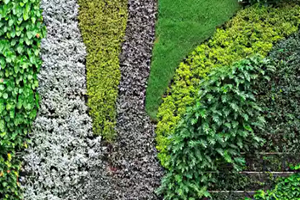 best horticulture services in kochi | kerala | landscape services in Kochi | best garden maintenance services in Kochi | Kerala | best landscaping service provider | Kochi | Kerala|||